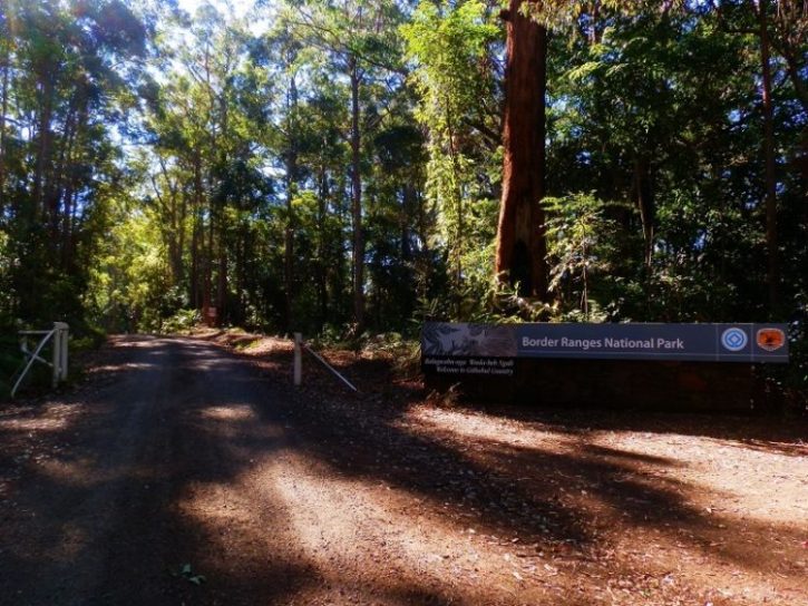 Border Ranges National Park Southern Entrance
