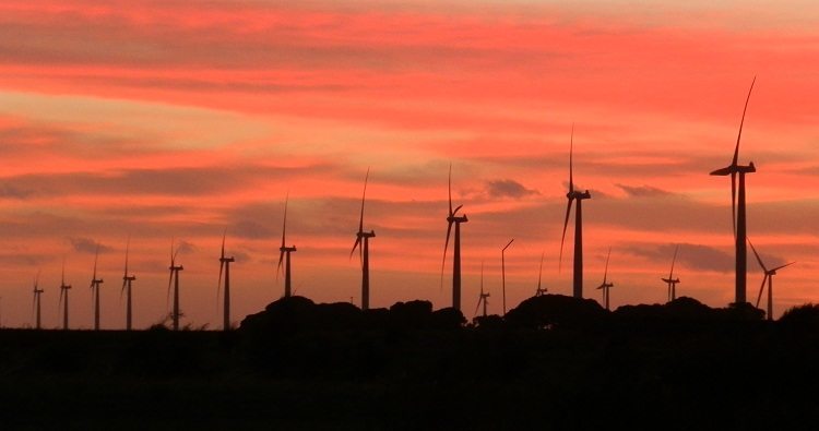 Sunset at Wattle Point Wind Farm, South Australia