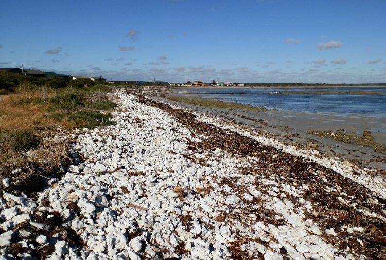 Pelican Point, South Australia
