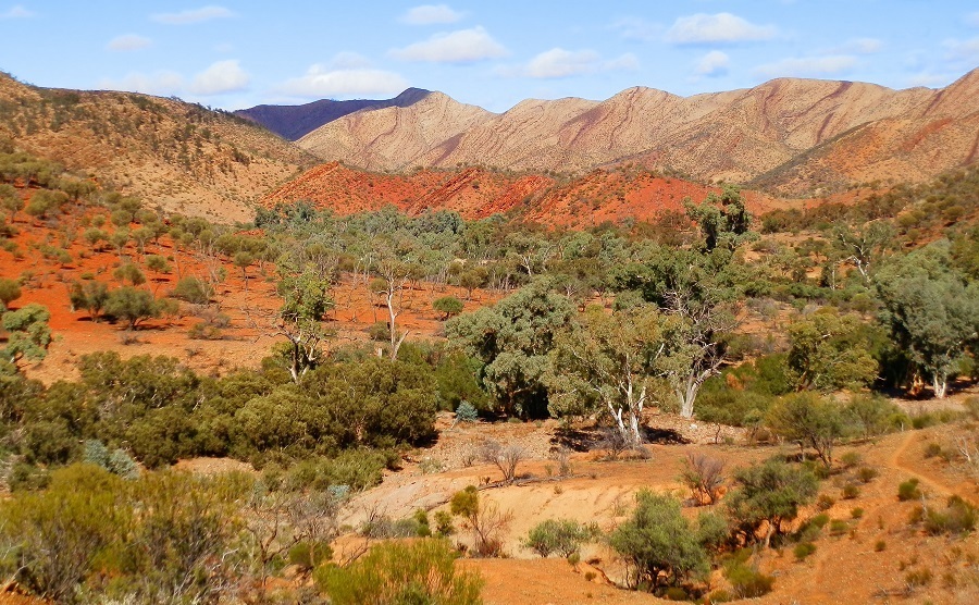 The Bunkers, Wilkawillina Gorge