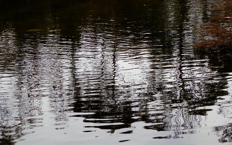 Black Poles ... Snowy River via Jindabyne, New South Wales