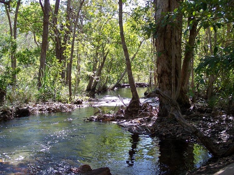 Litchfield National Park, Northern Territory (pic by Pilchard)