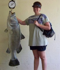 Red Nomad OZ with Barramundi