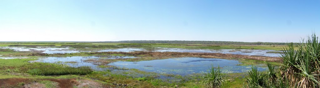 Fogg Dam, via Darwin, Northern Territory