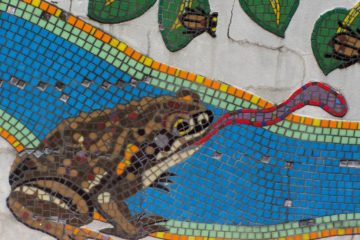 Mosaic Cane Toad at Cane Toad World, Gordonvale, QLD