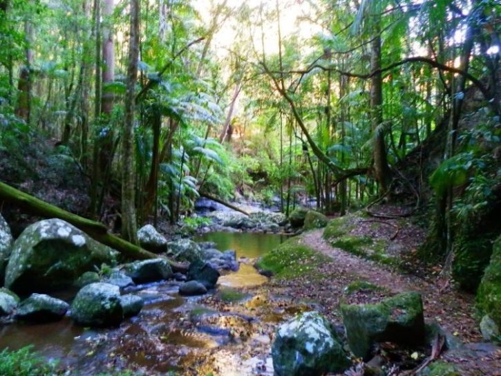 Sheepstation Creek