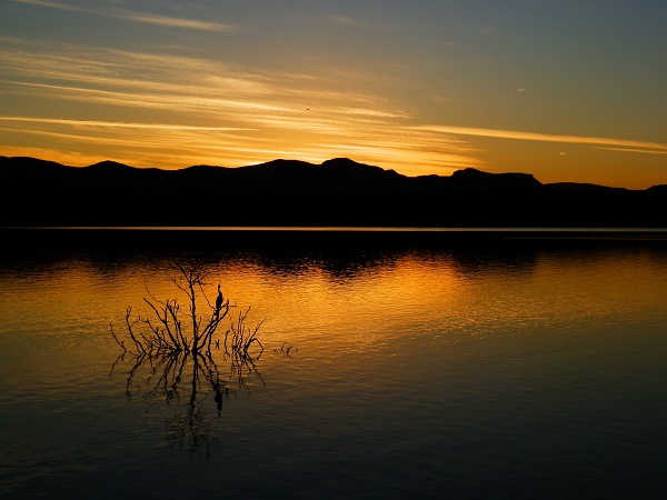Sunset with Australasian Darter, Lake Moogerah, Scenic Rim