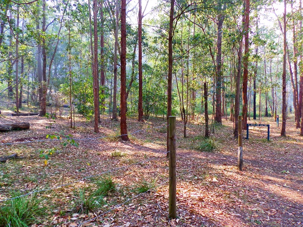 Mt Barney Lower Portals Campground, Scenic Rim