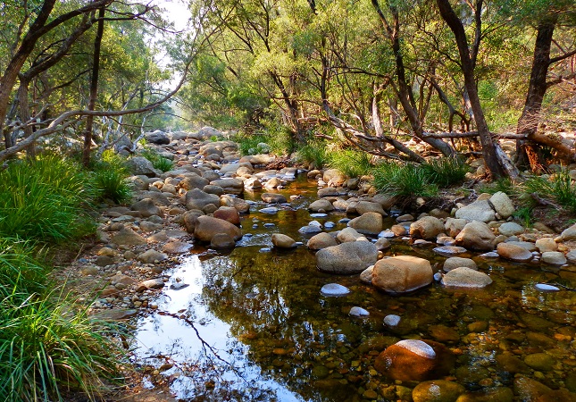 Mt Barney Creek, Scenic Rim