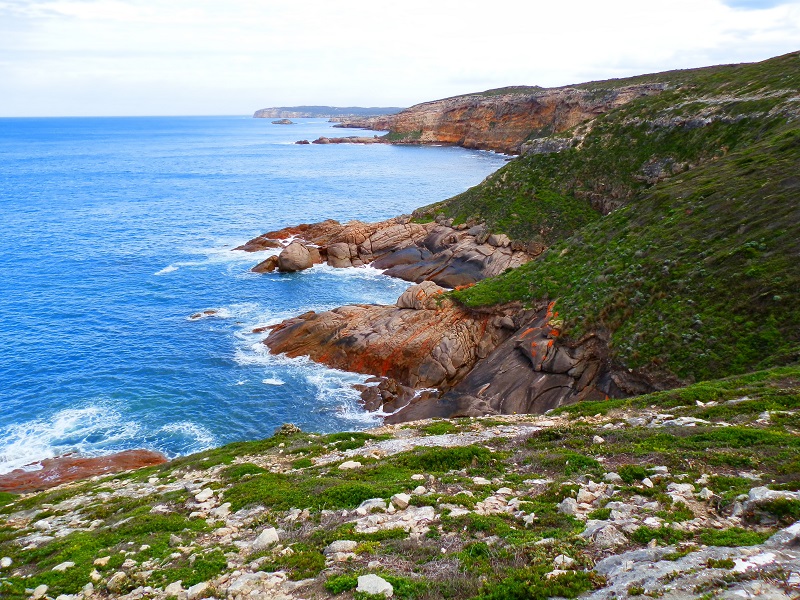 Coast from Stenhouse Bay Lookout Walk