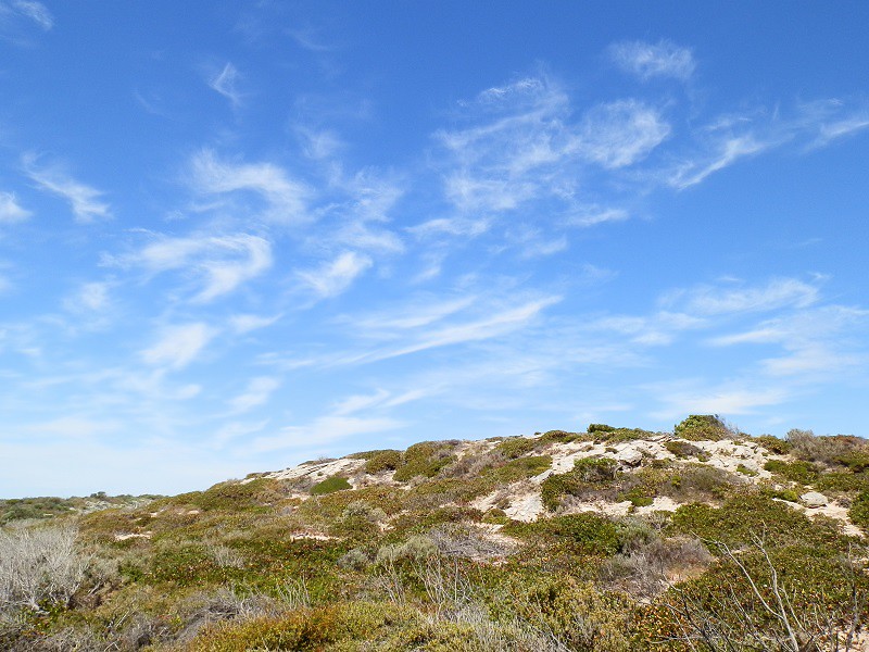 Dunes, Innes National Park