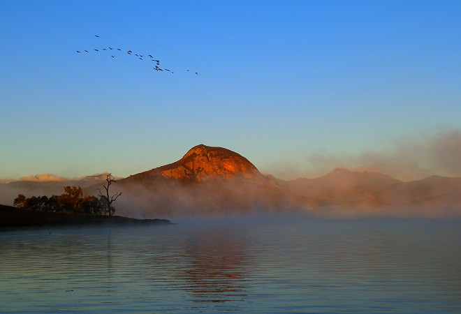 The Birds, Dawn at Lake Moogerah
