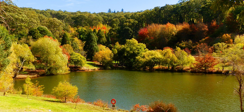 Mount Lofty Botanic Gardens Main Lake