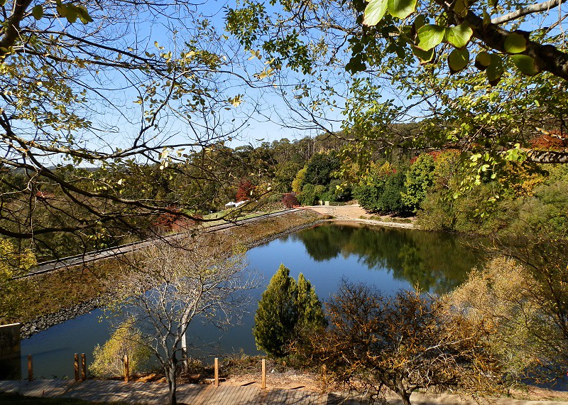 Mount Lofty Botanic Gardens Lake from above