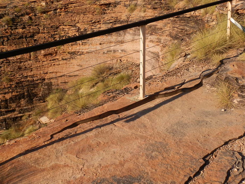 Snake! Mirima National Park, Kununurra