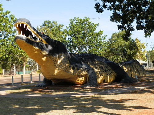 The Happy Croc, Wyndham