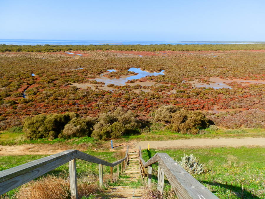 Port Clinton/Price Walking Trail Steps and Salt Marsh