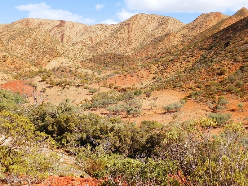 Wilkawillina Gorge River Valley