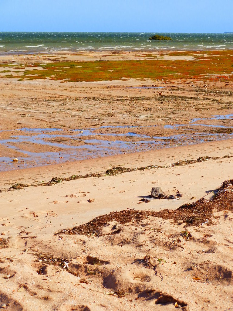 The varied Port Clinton seashore, Yorke Peninsula