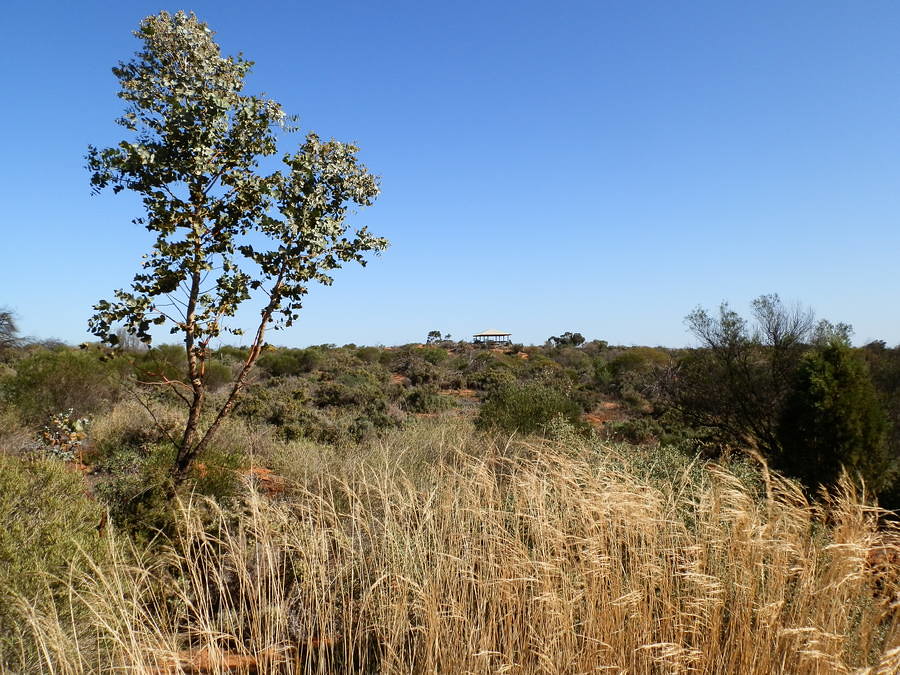 Arid Lands Botanic Gardens Lookout, Port Augusta