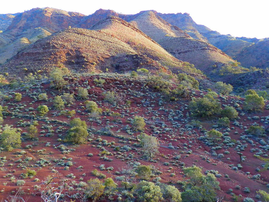 Heysen Trail Scene, Parachilna Gorge, via Angorichina, Northern Flinders Ranges