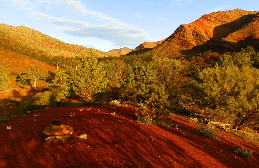 Late Afternoon on the Heysen Trail, via Angorichina, Northern Flinders Ranges