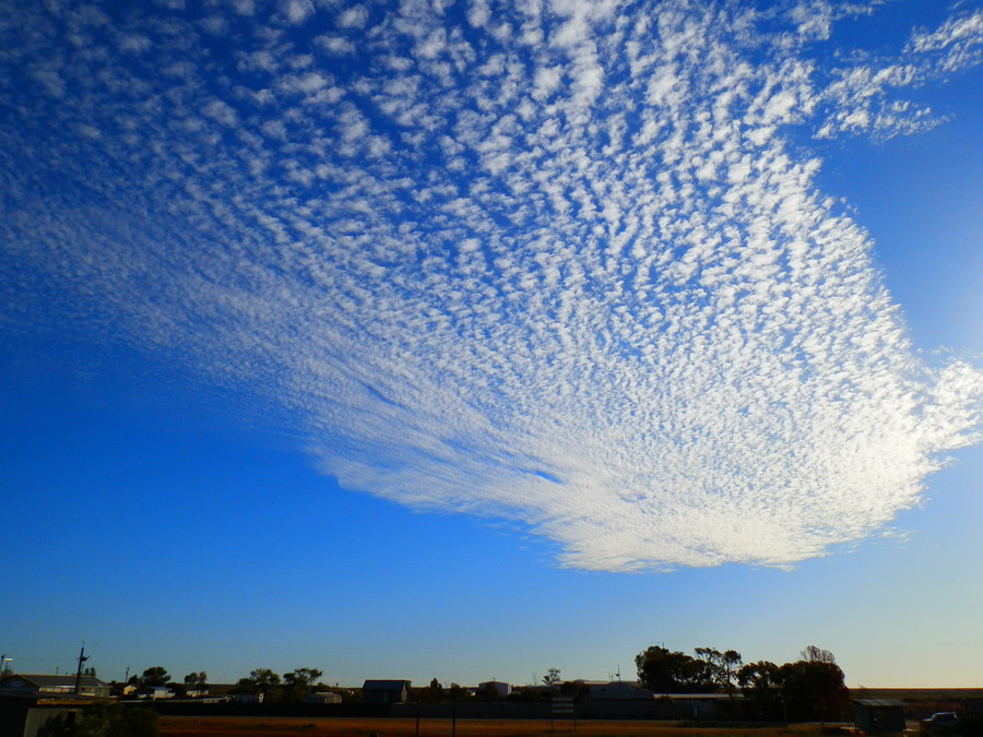 Outback evening sky, Lyndhurst
