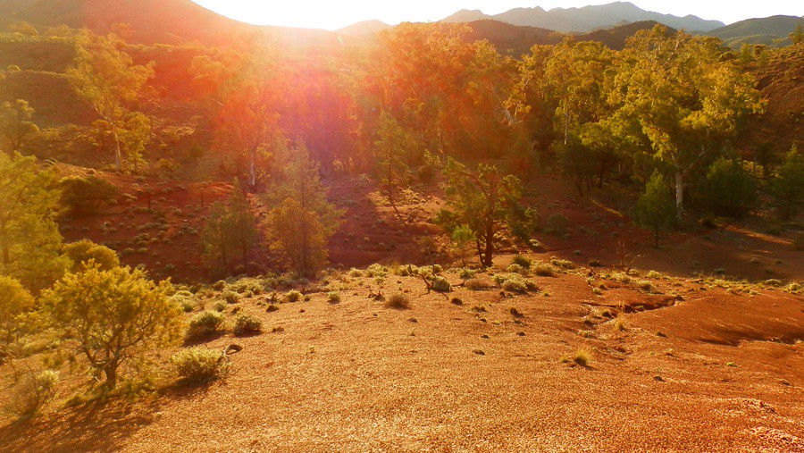 Sunset at Parachilna Gorge, Heysen Trail