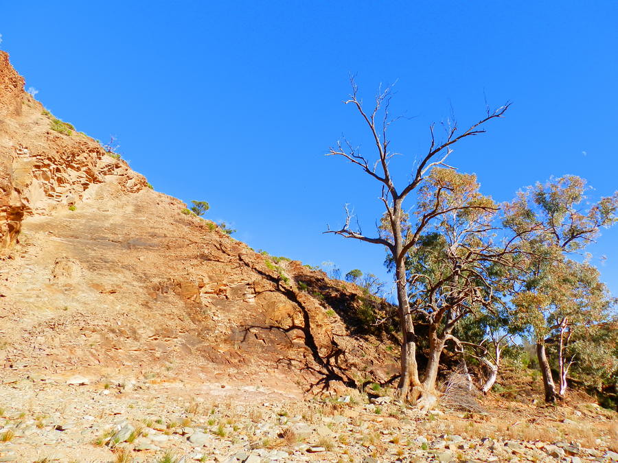 Outback Scenery on Blinman Pools Hike, Angorichina, Northern Flinders Ranges