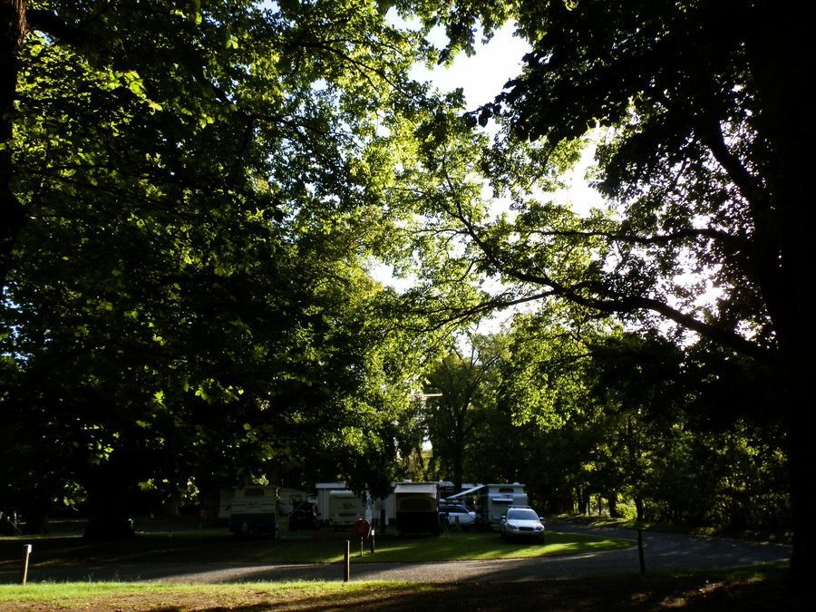 Riverglades Caravan Park, Tumut, NSW, Budget Travel Tips