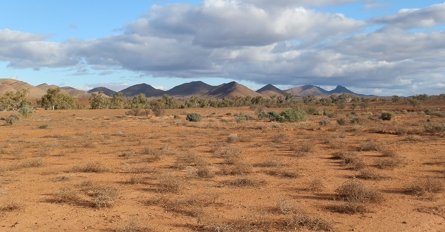 The Bunkers from the Road