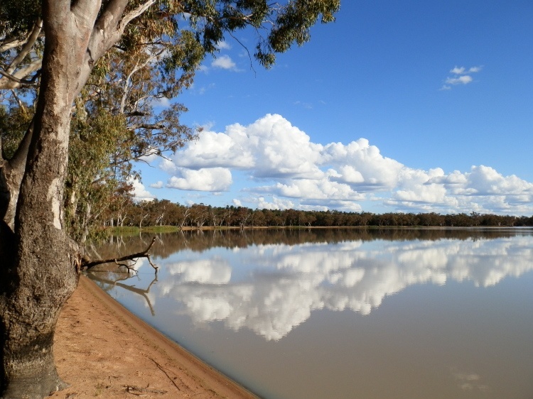 Yarrie Lake Reflections, via Narrabri