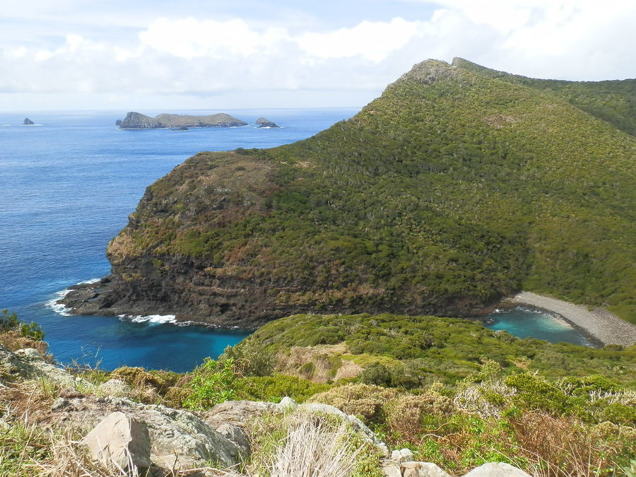 Old Gulch from Mt Eliza, North Bay, Lord Howe Island