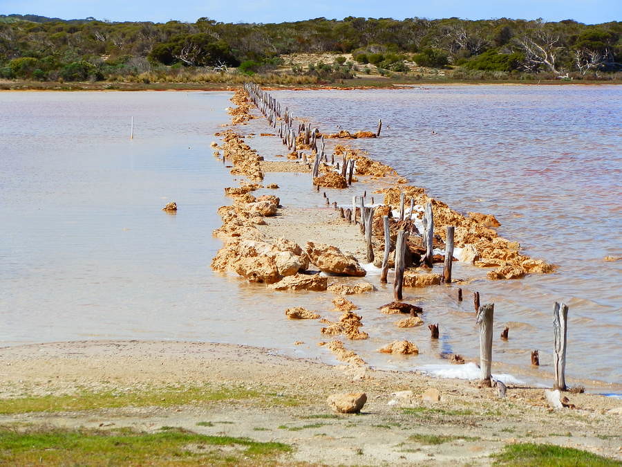 Jetty Ruins, Coorong Loop Track, Salt Creek