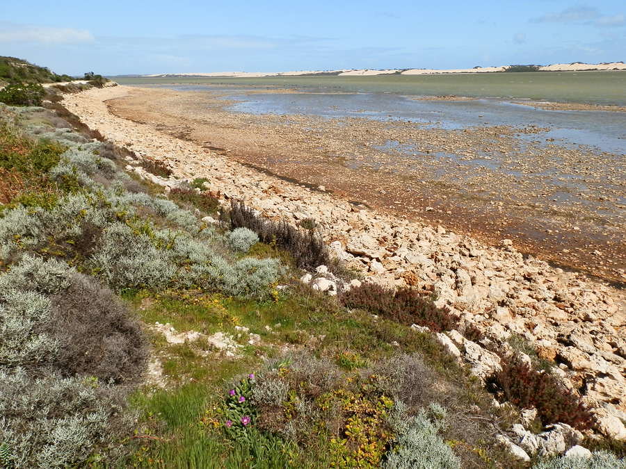 Coorong Waterways and Dunes, Salt Creek Loop Track, South Australia