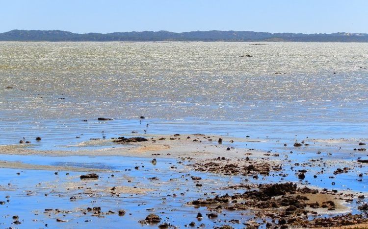 Evening on the Coorong