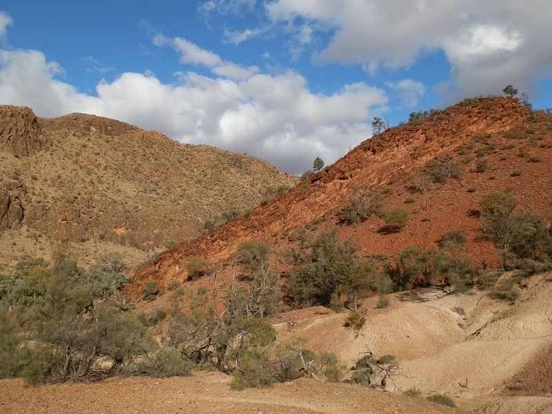 Rock Formations, Wilkawillina Gorge
