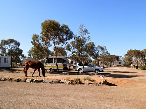 Copley Caravan Park, Outback South Australia