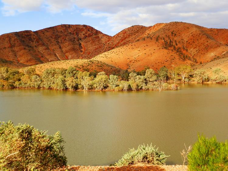 Aroona Dam Sanctuary, via Copley, Outback South Australia