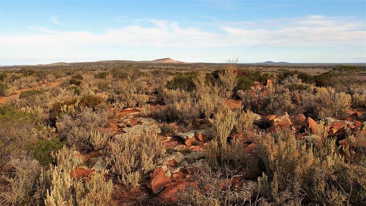 View from Wild Dog Hill Summit, Whyalla Conservation Park, South Australia