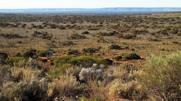 Loo from Wild Dog Hill, Whyalla Conservation Park, South Australia