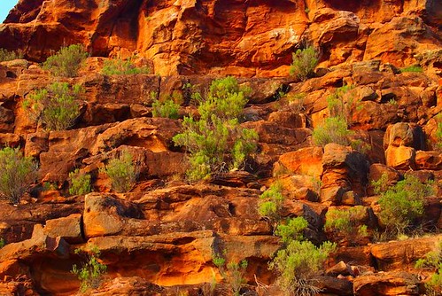 Wild Dog Hill Rocks, Whyalla Conservation Park, South Australia