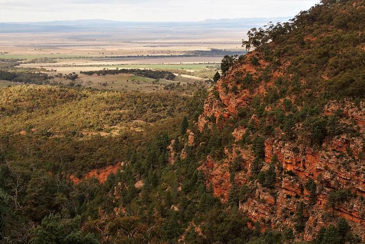 Bluff and plain on return hike from Dutchman's Stern, South Australia