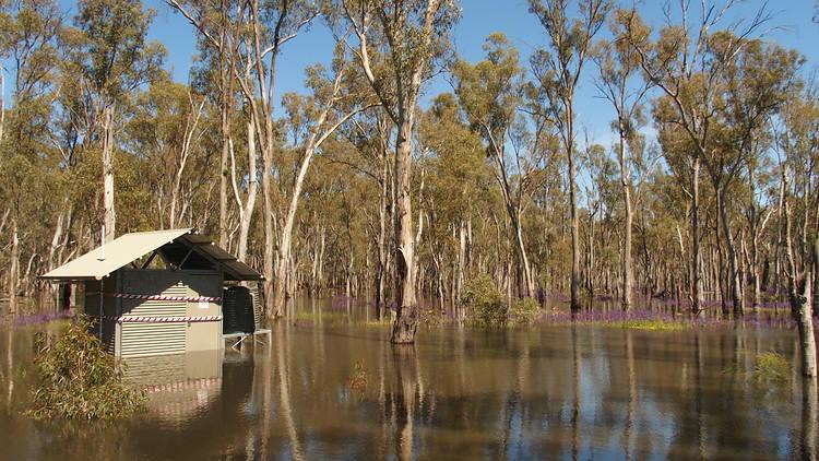 Just enough water to flush this scenic loo! Murray Valley National Park, New South Wales