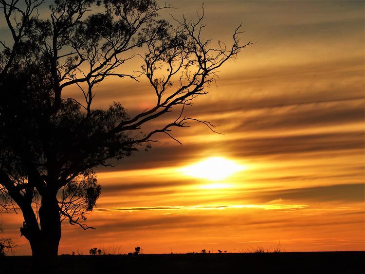 Sunset via Deniliquin, New South Wales