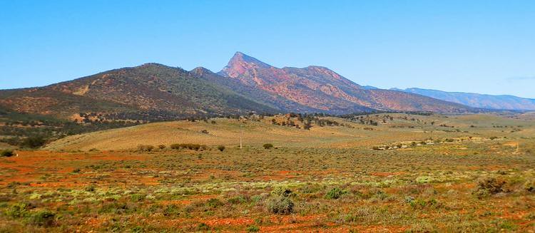 St Marys Peak from west of the ranges outside Wilpena Pound, Flinders Ranges, South Australia