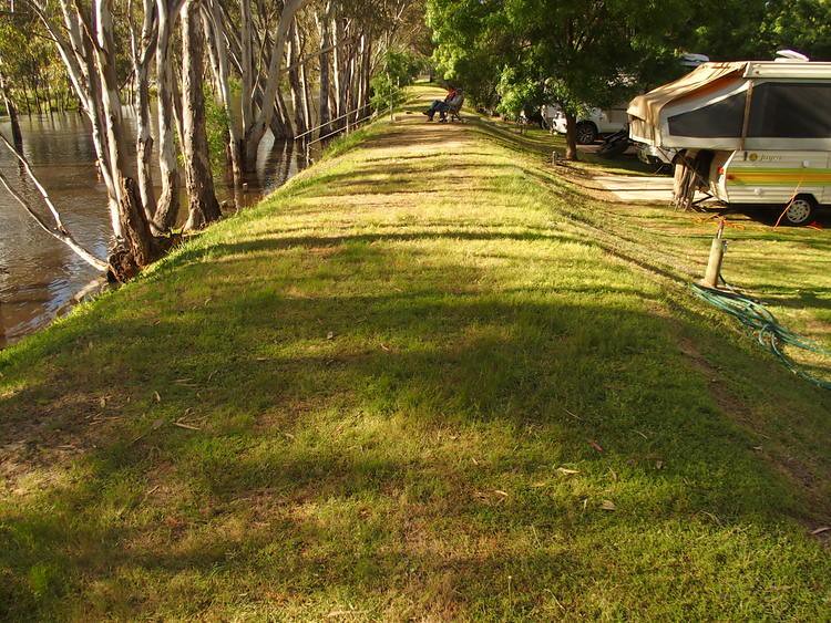Our campsite not quite in the Edward River, Deniliquin, New South Wales