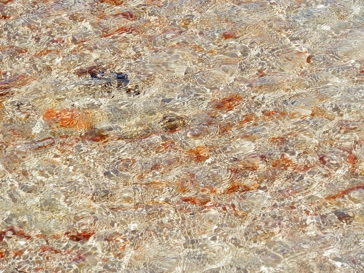 Is this REALLY what Australian Beaches look like?!?!