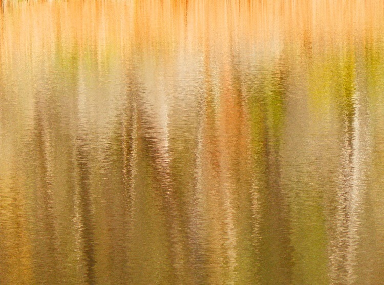 Reflections on the River, Boonoo Boonoo National Park