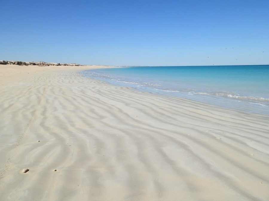 Coconut Wells Beach via Broome, Western Australia